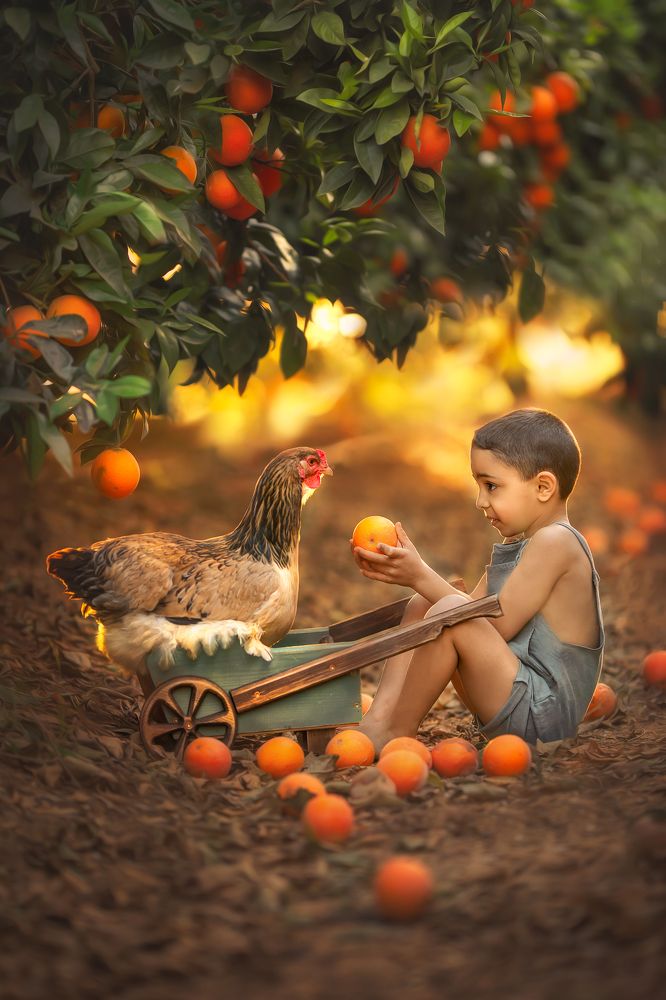 Photograph by yarden kaplan