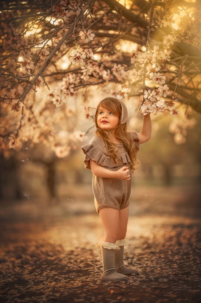 Photograph by yarden kaplan