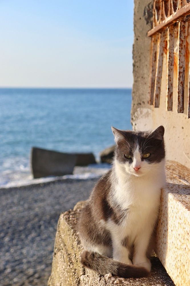 Photograph by Katerina Akalifa