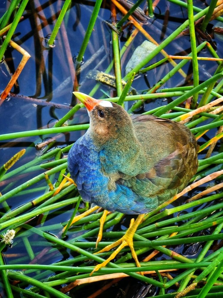 Photograph by Angelisa Gonzalez