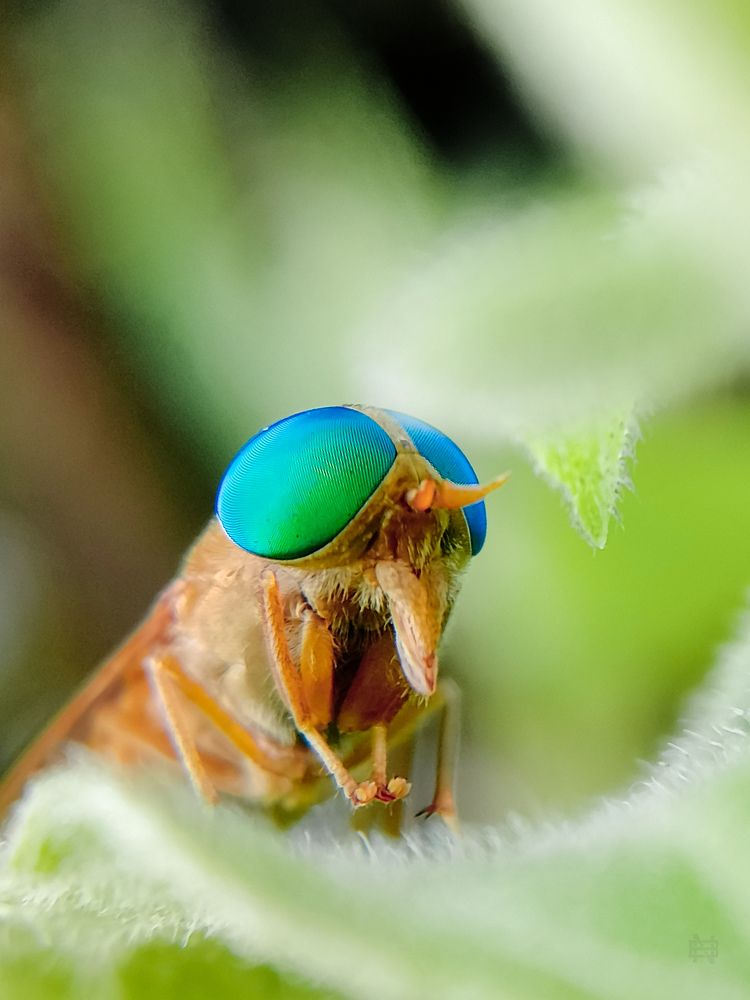 Photograph by Nikhila R