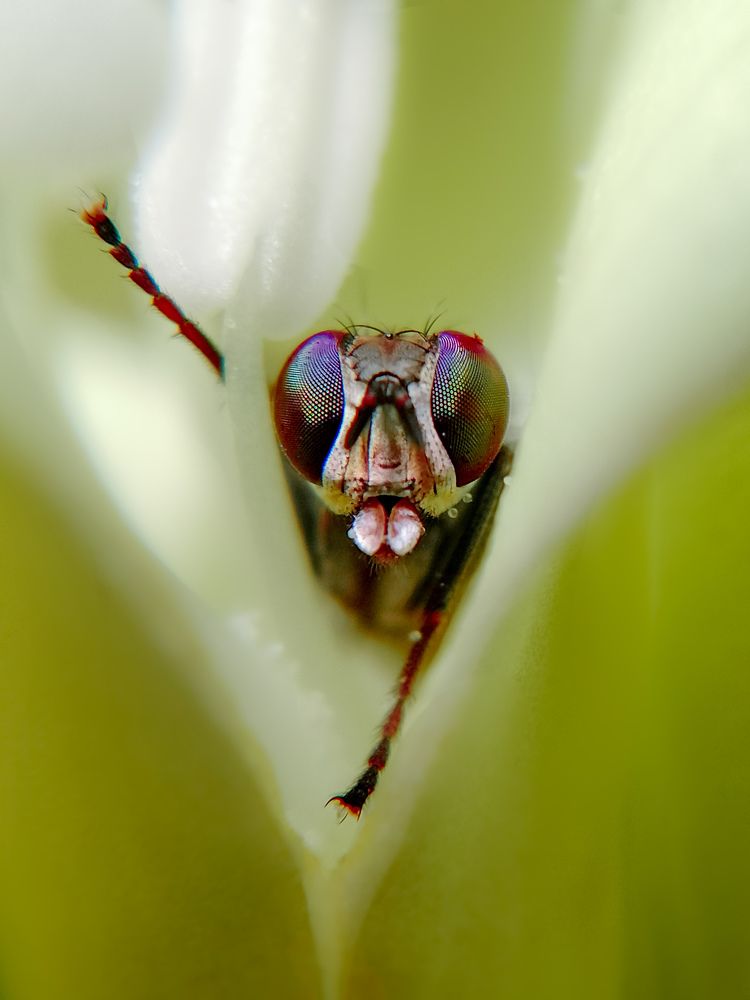 Let me have some attitude?