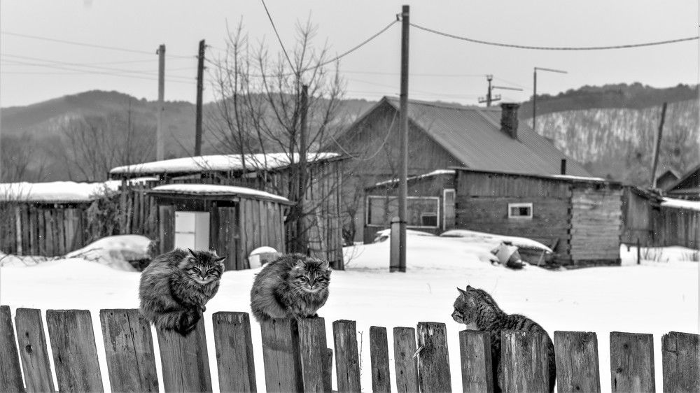 Photograph by константин