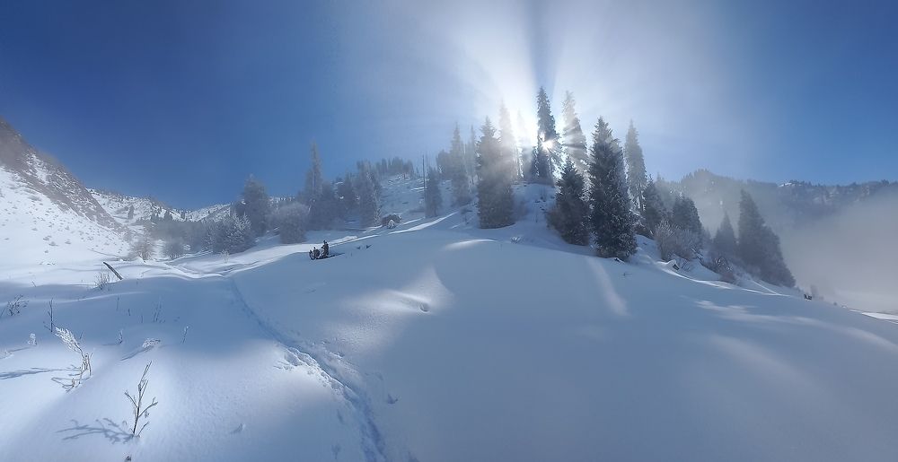 Photograph by Андрей