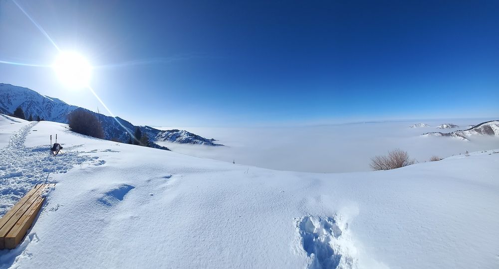 Photograph by Андрей