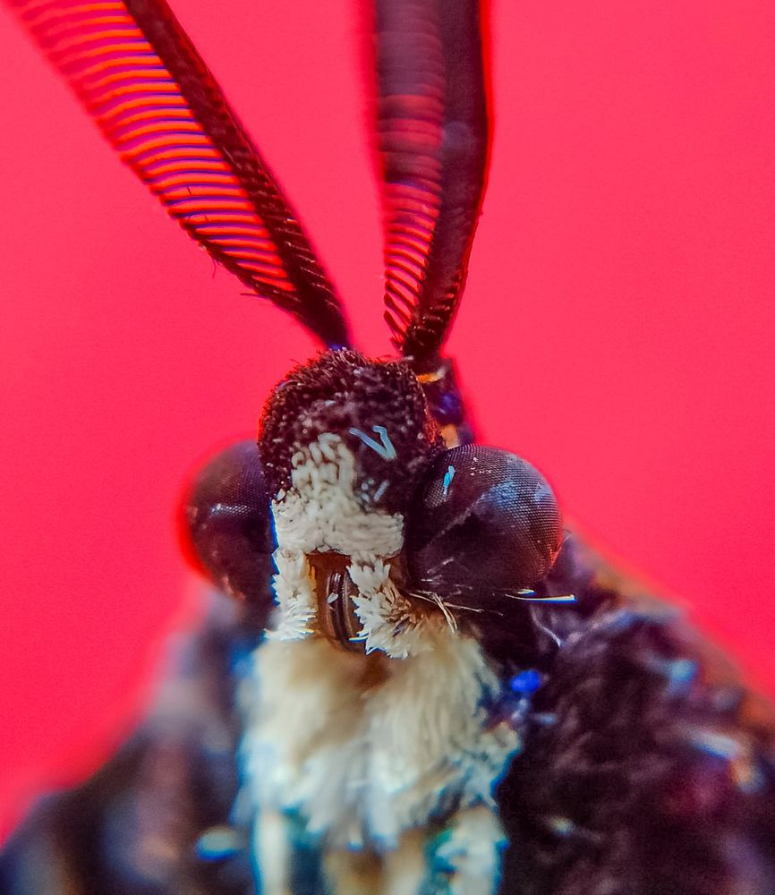 Photograph by Nikhila R