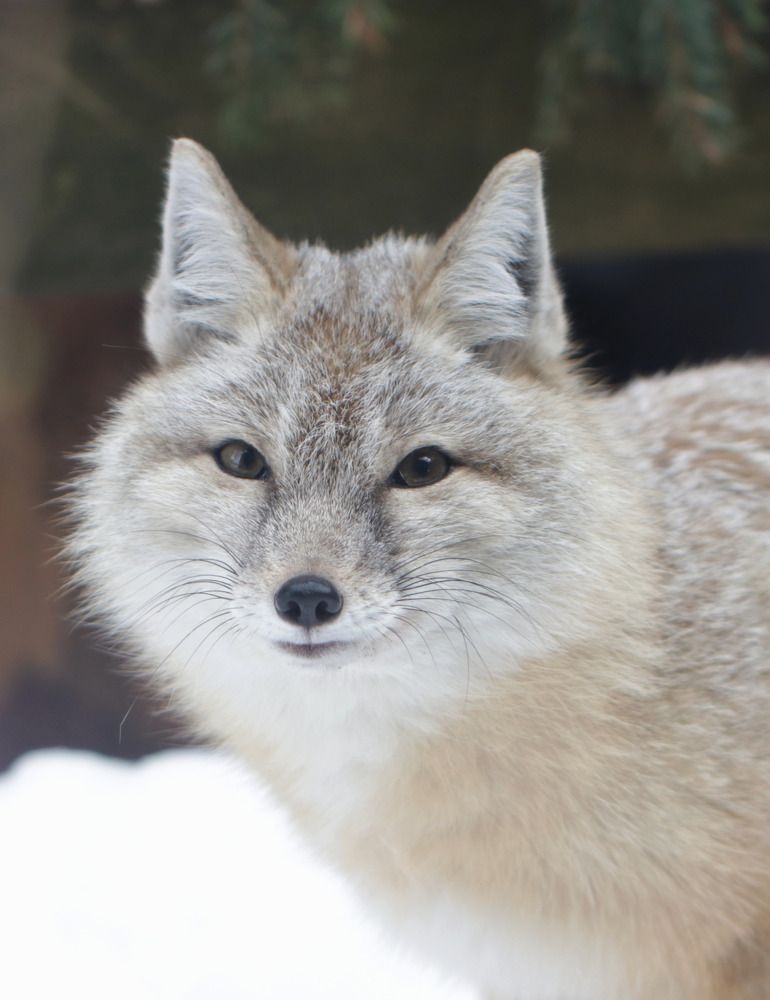 Photograph by Ирина Салминен