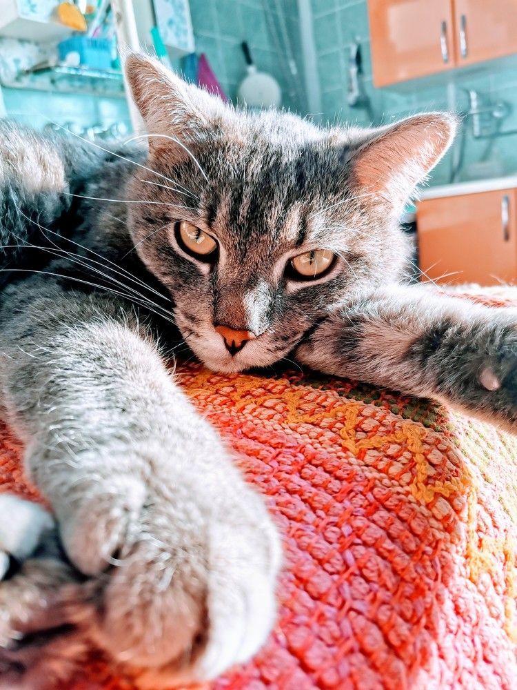 Photograph by Mariya Sinitsina