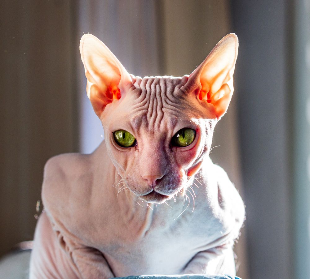 Photograph by Sergey Tsubanov