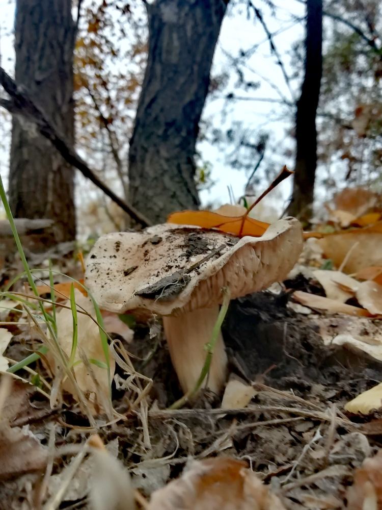 Photograph by Рината Загидуллина