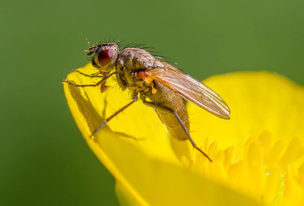 Фотография автора Andrey Pristyazhnyuk