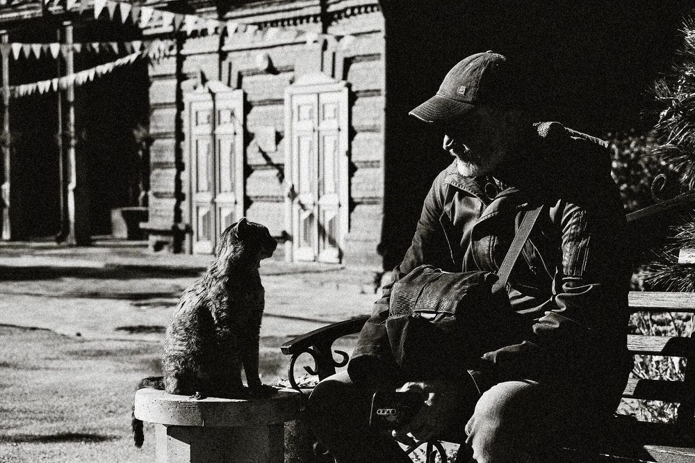 Photograph by Ирина Табалыкина