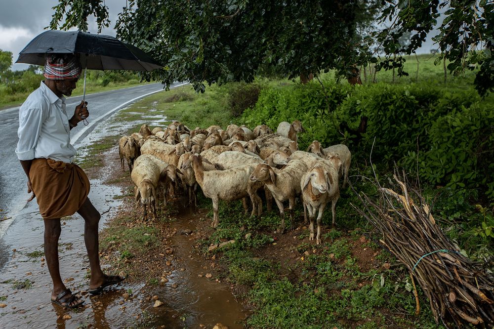 Photograph by mohanan oruvayalil