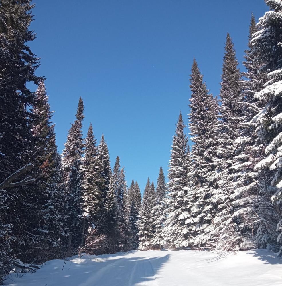 Фотография автора Ирина