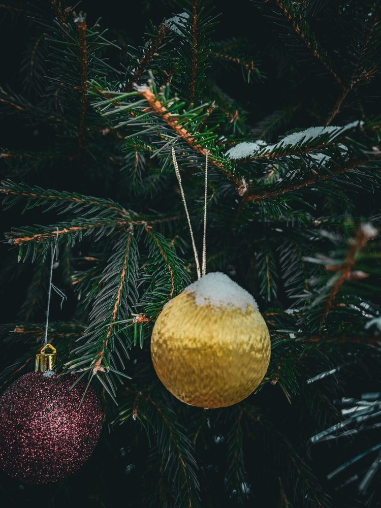 Photograph by Евгений Порсов