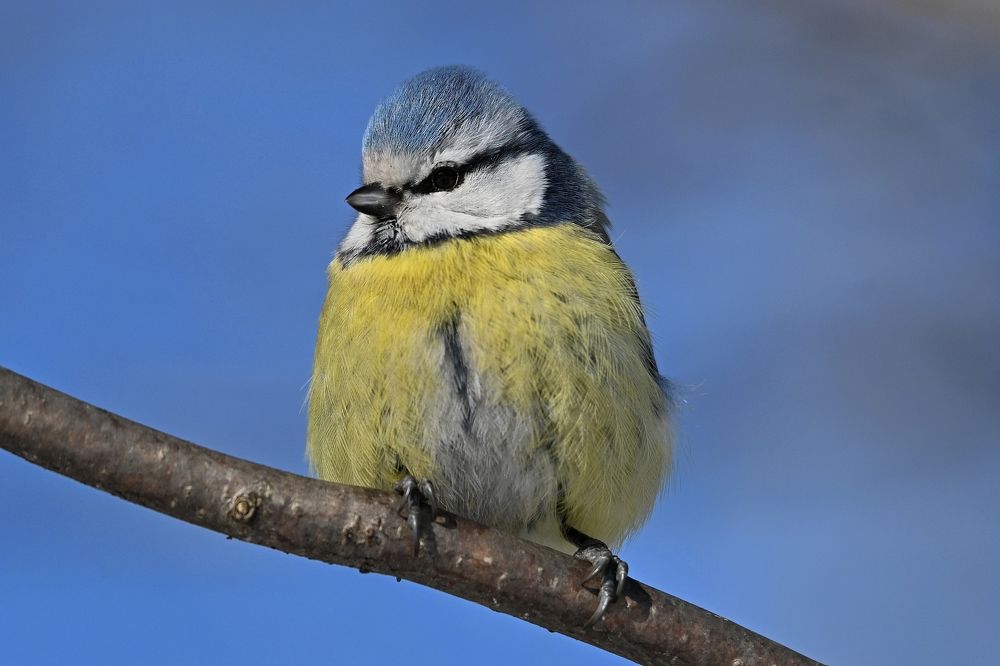 Photograph by Алексей Гордеев
