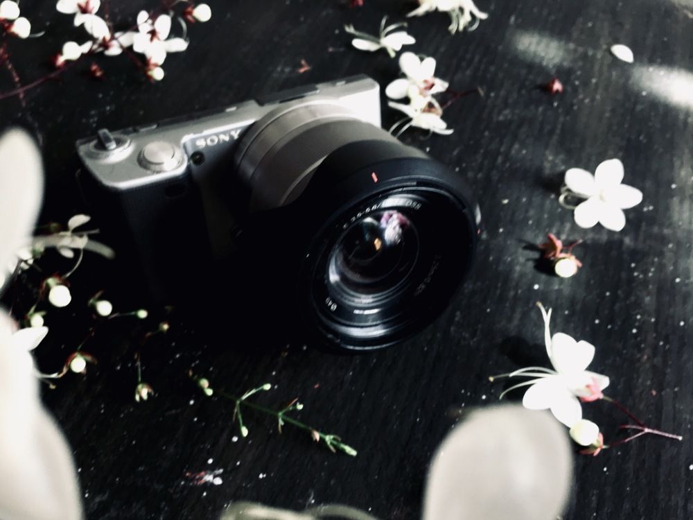 Photograph by Sr. Ma. Jenny Mhy-sy Yasa