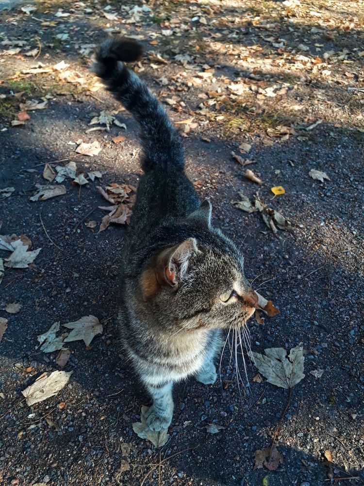 Photograph by Кристина Шляхова