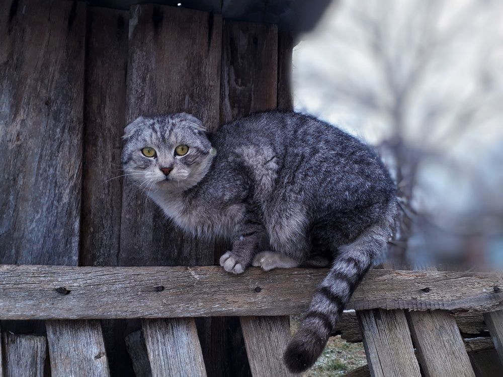 Photograph by Кристина Шляхова