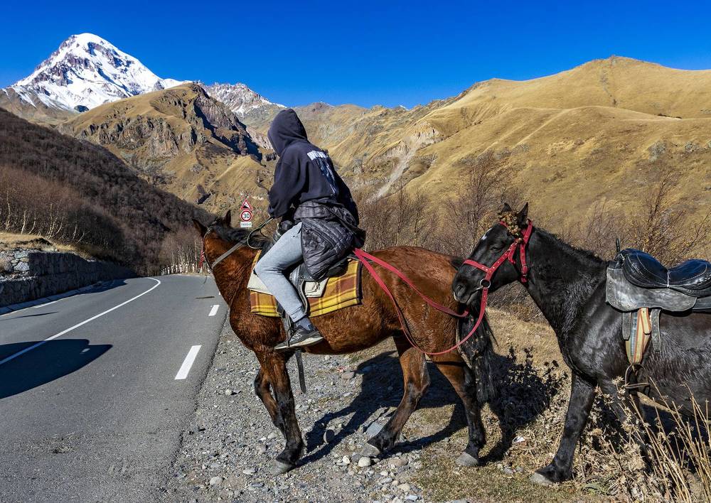 Photograph by Alex Kalpus