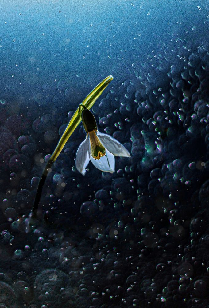 Photograph by Наталья Исиченко