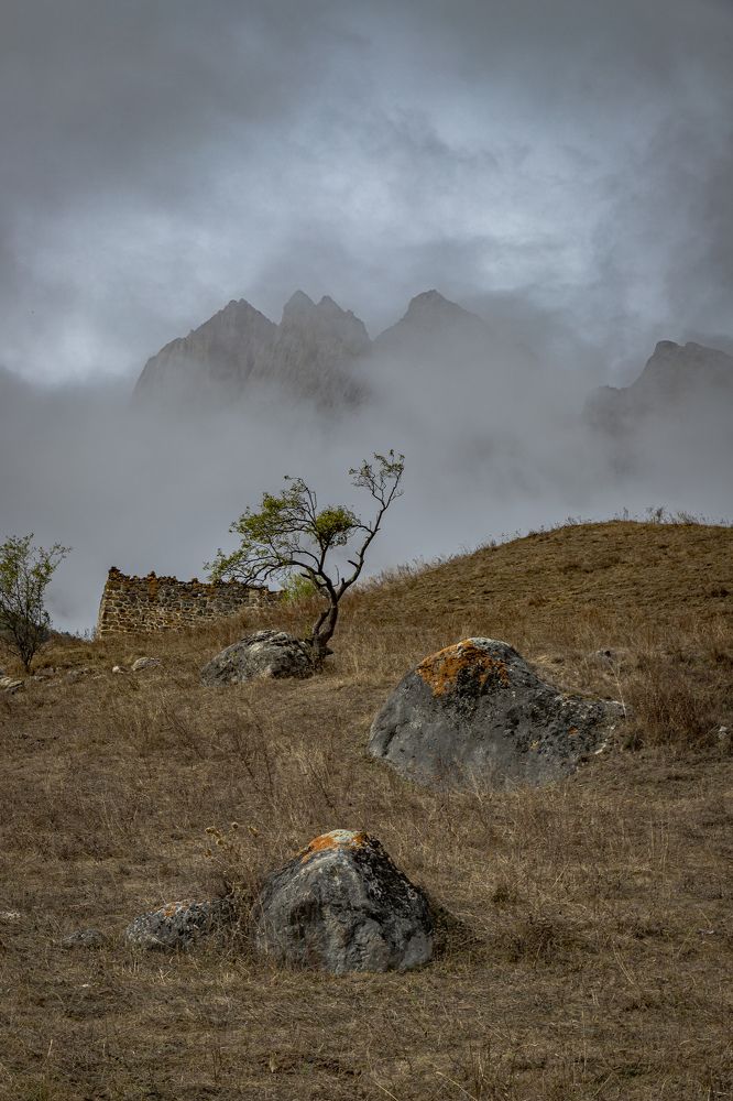 Там за туманом...
