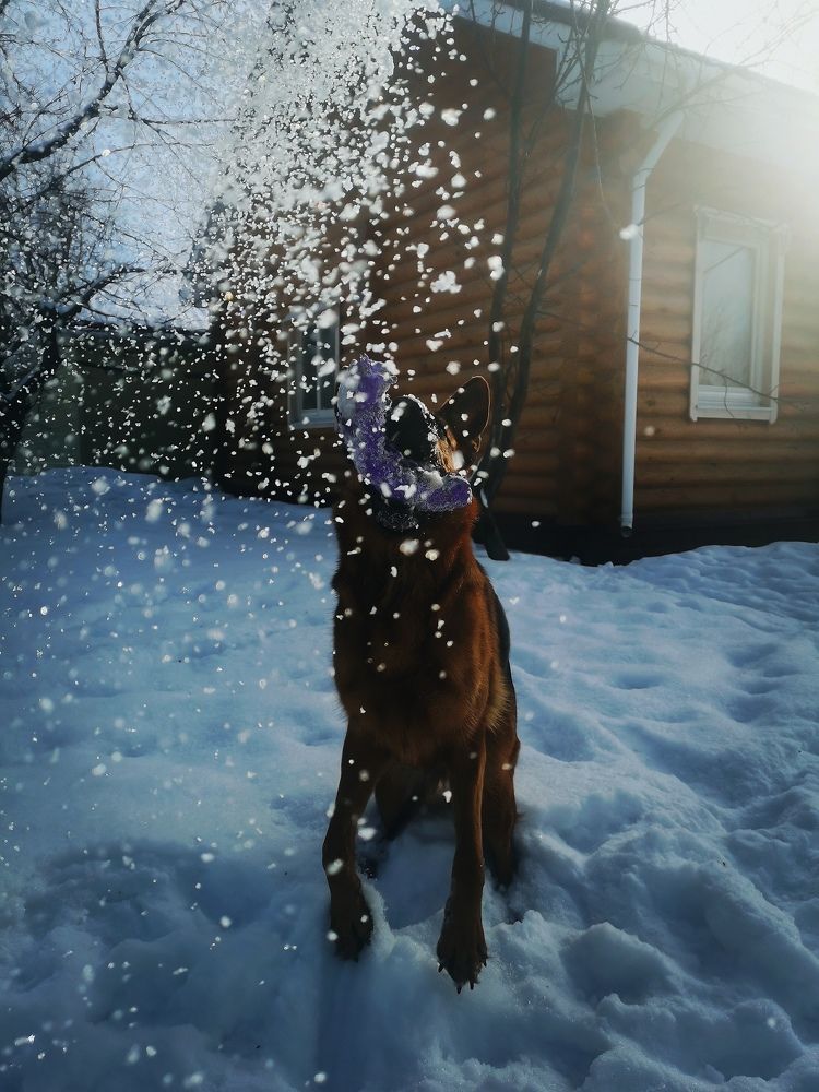 Photograph by анастасия малинина