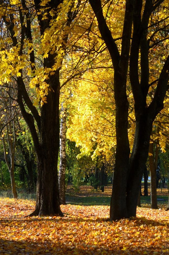 Photograph by Дмитрий Жуков