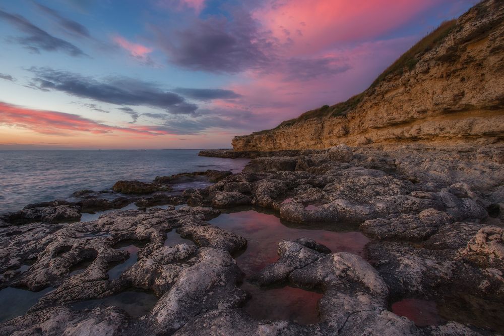 Фотография автора Дмитренко Екатерина