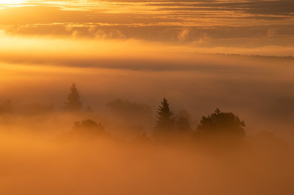 Фотография автора Ivan