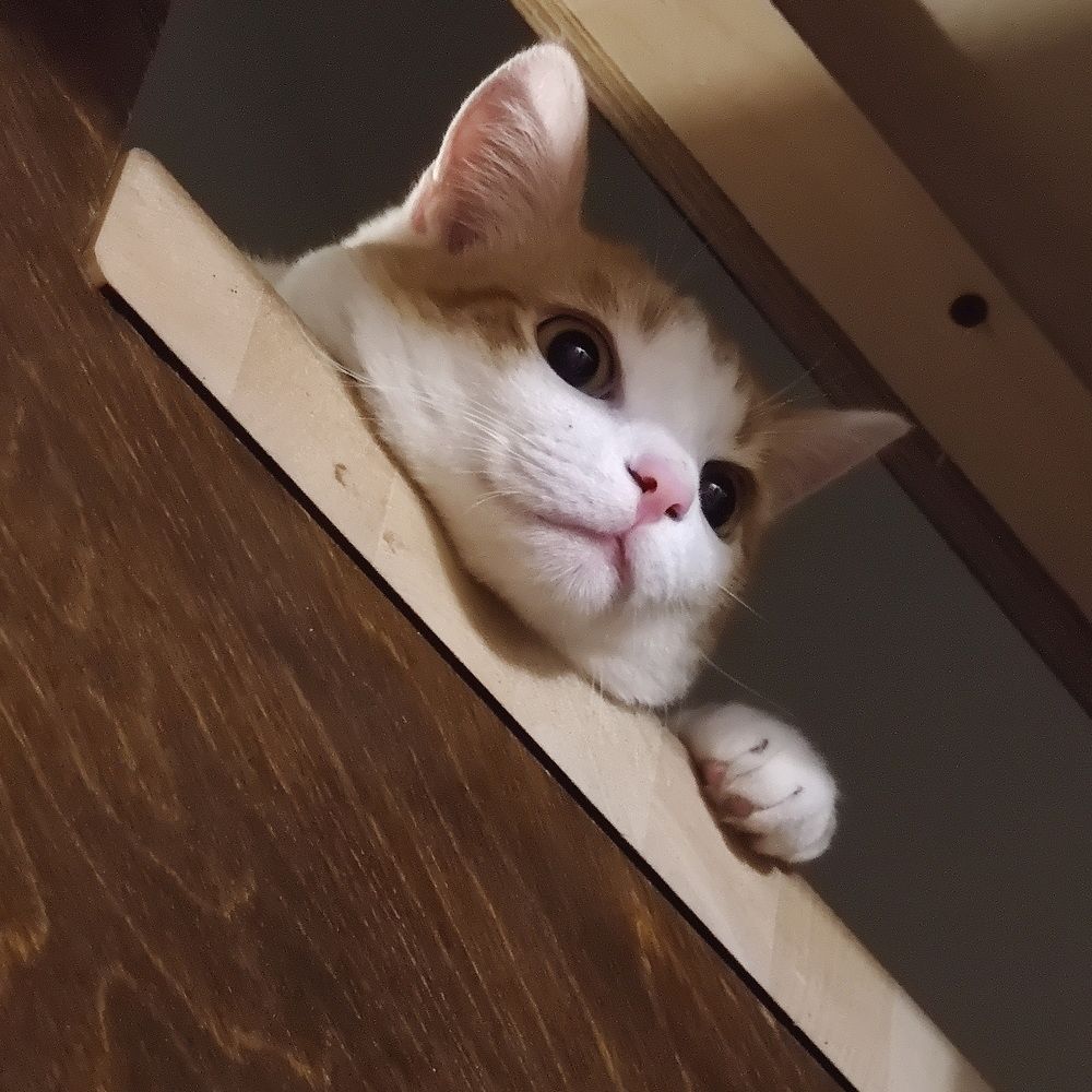 Photograph by Дмитрий Кузнецов