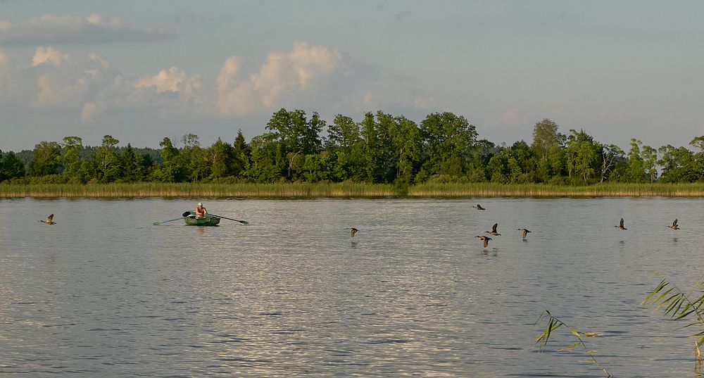 Photograph by Юлия Седельникова