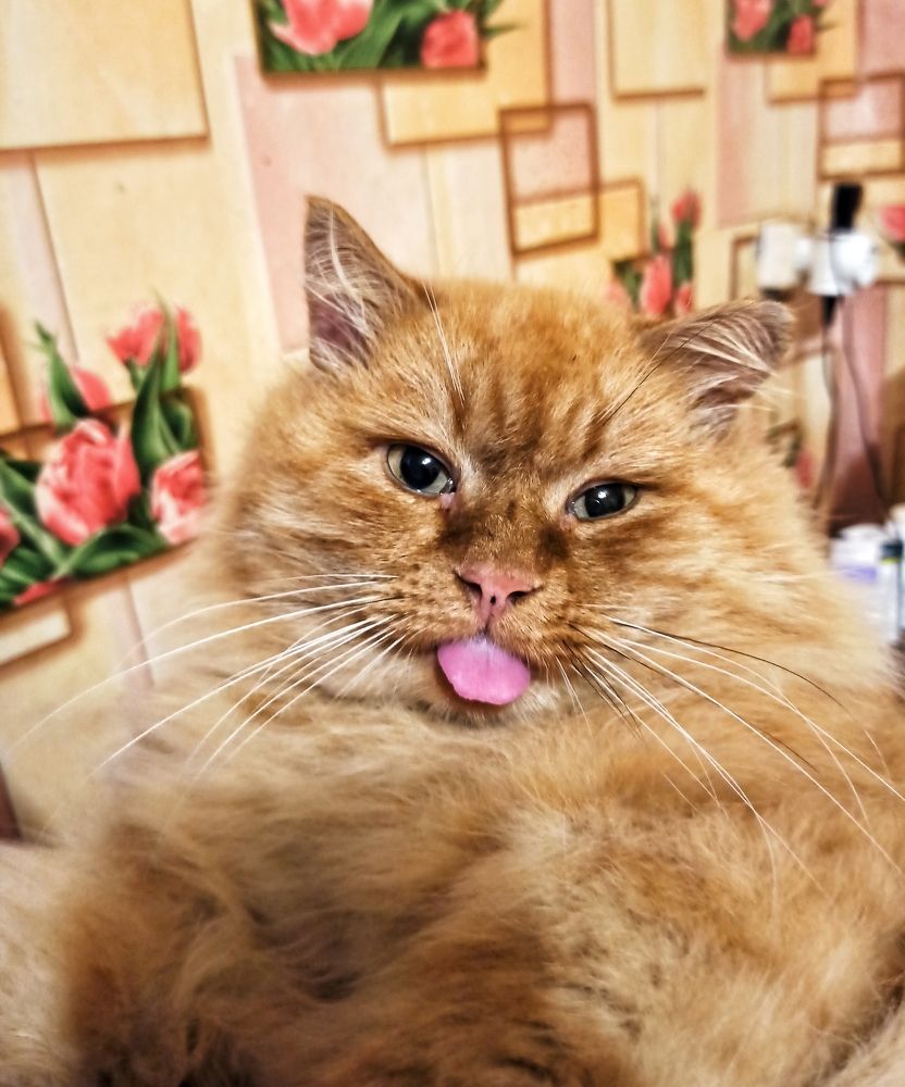 Photograph by Вера Родионова