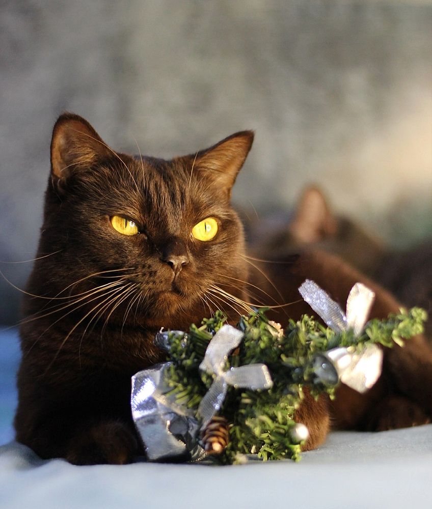 Photograph by Мария Мельникова