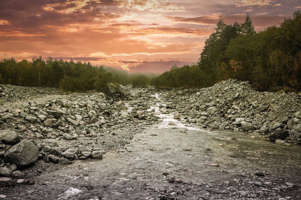 Photograph by Сергей Шпаков