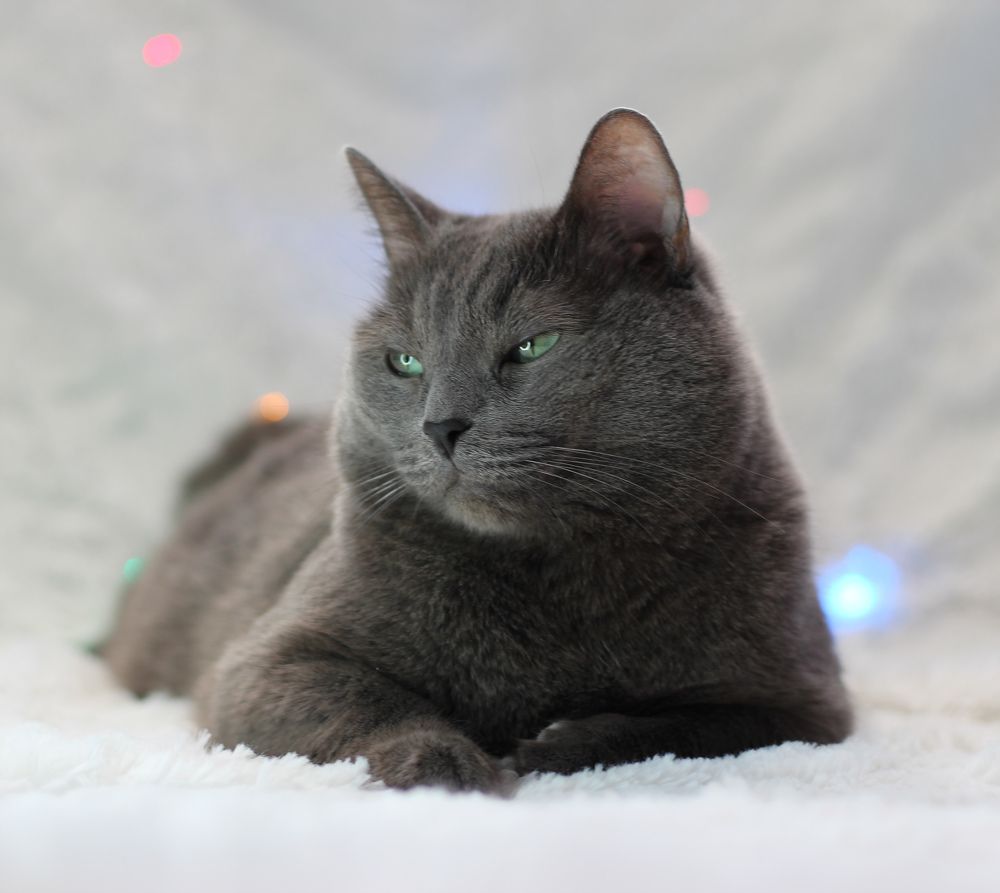 Photograph by Мария Мельникова