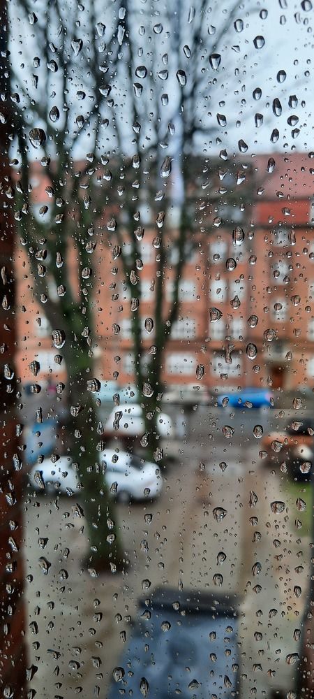 Photograph by amin karimi