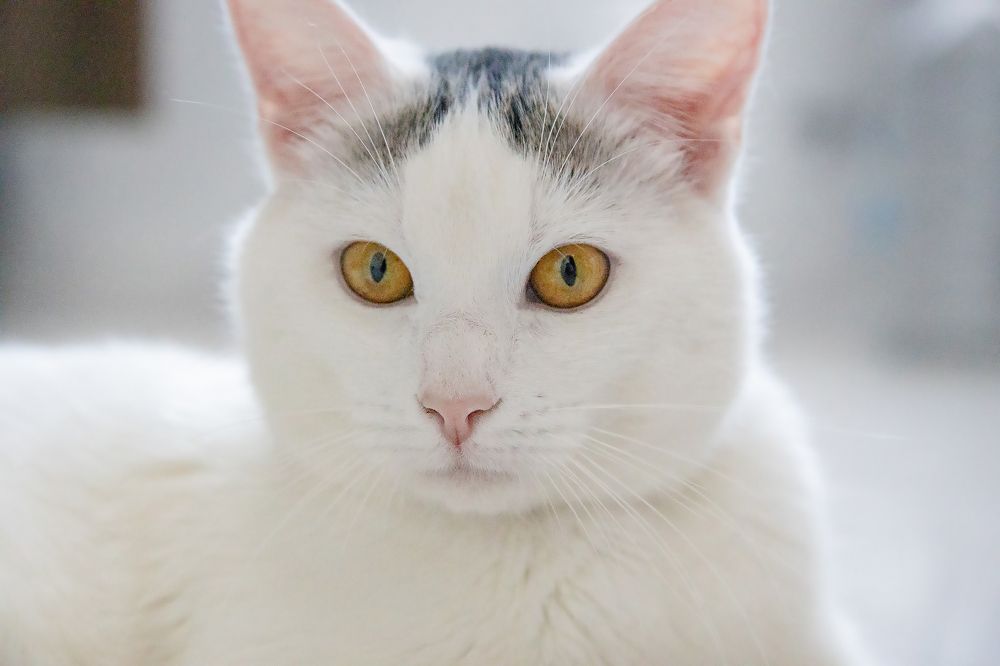 Photograph by Ольга Богданова