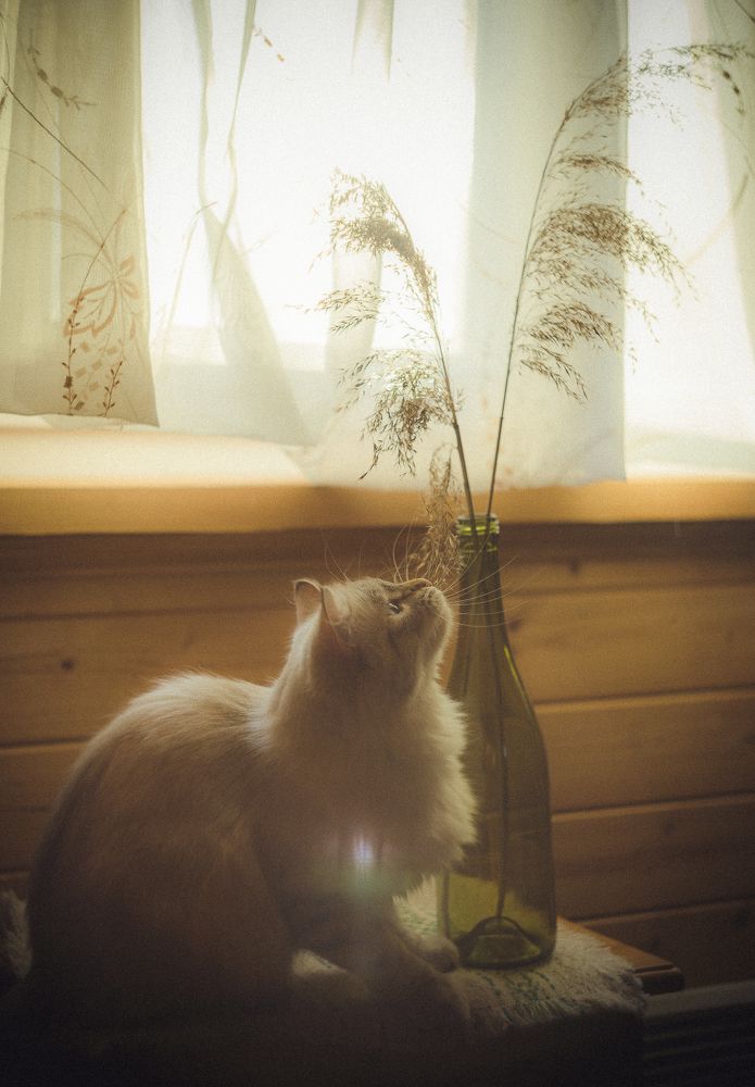 Photograph by Анастасия Кузьмина