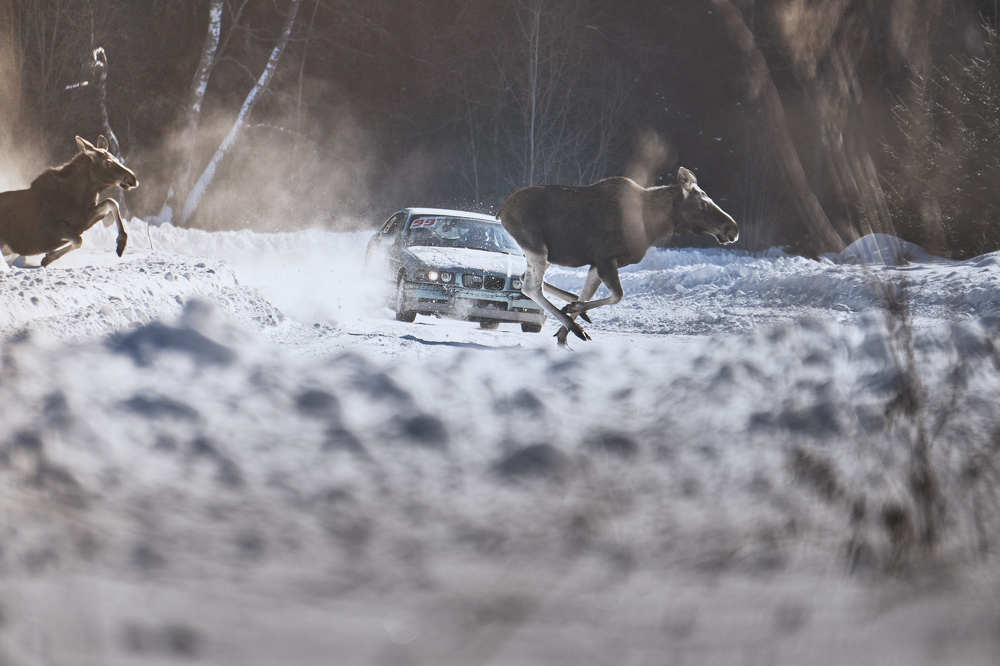 Photo #8977170