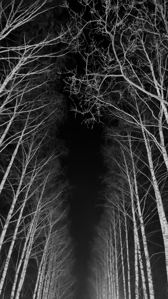 Photograph by Наталья Калюнова