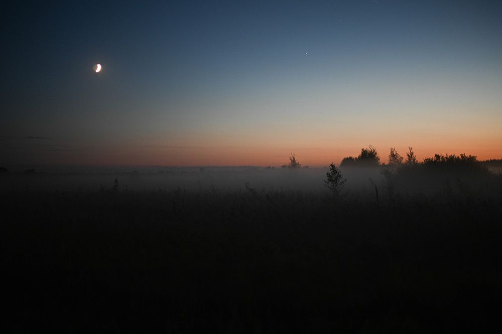 Фотография автора Галина Башканкова