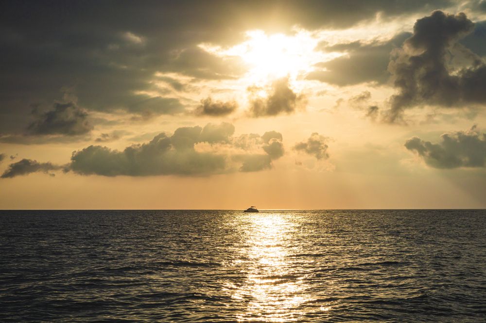 Photograph by Александр Пургин