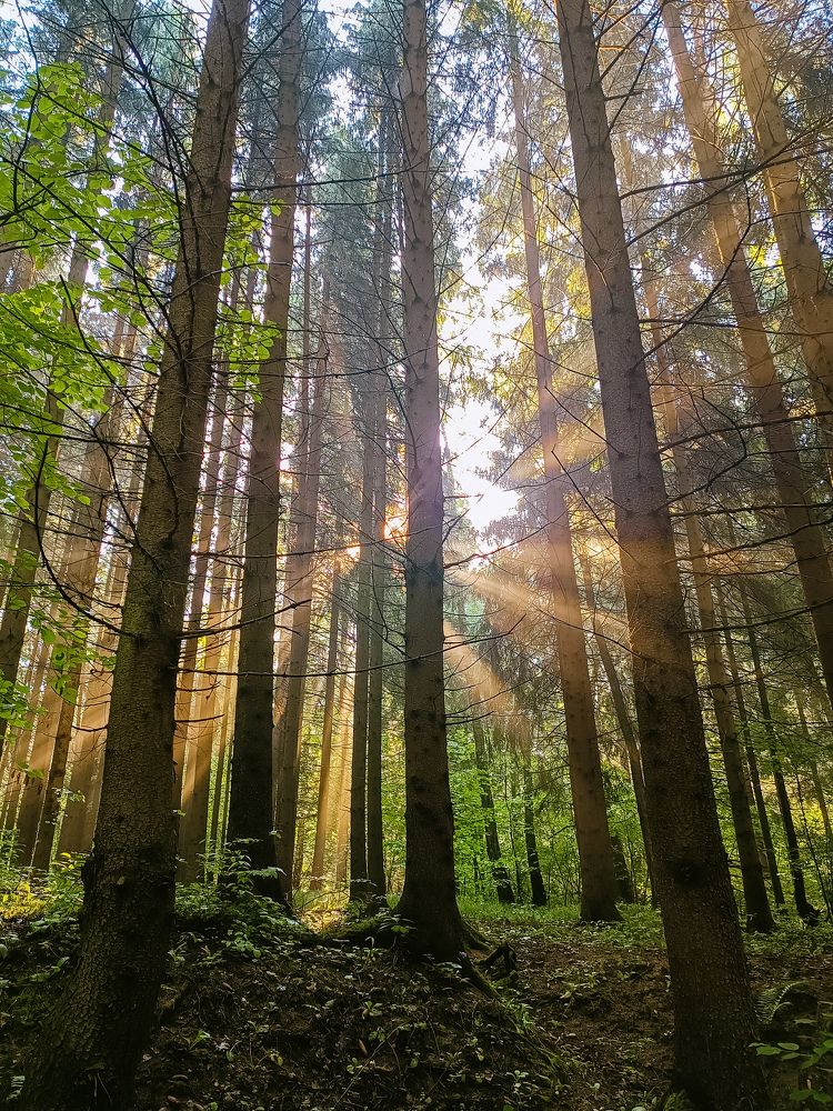 Photograph by Ирина Полунина