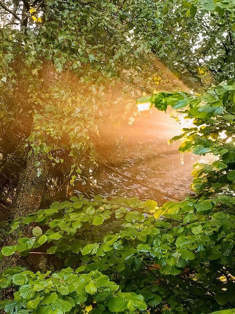 Photograph by Ирина Полунина