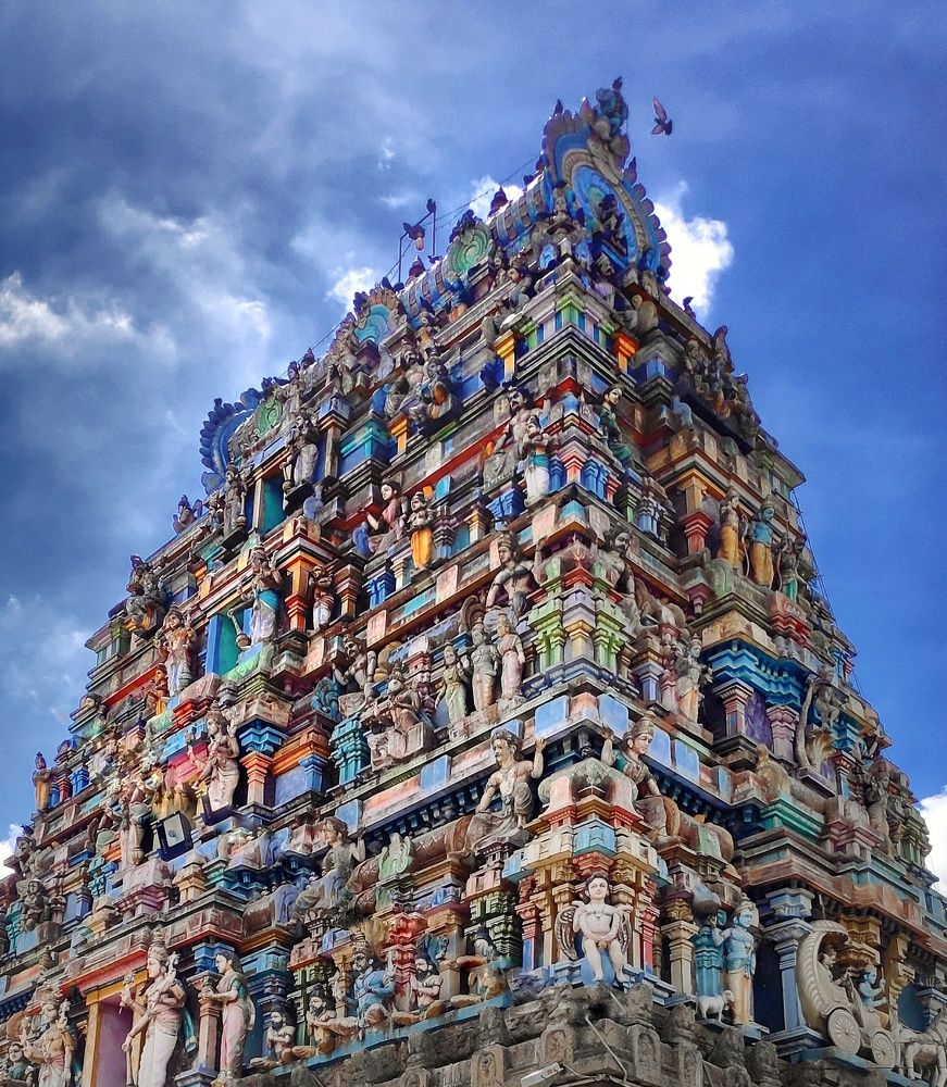 Photograph by MOSIKKEERAN M