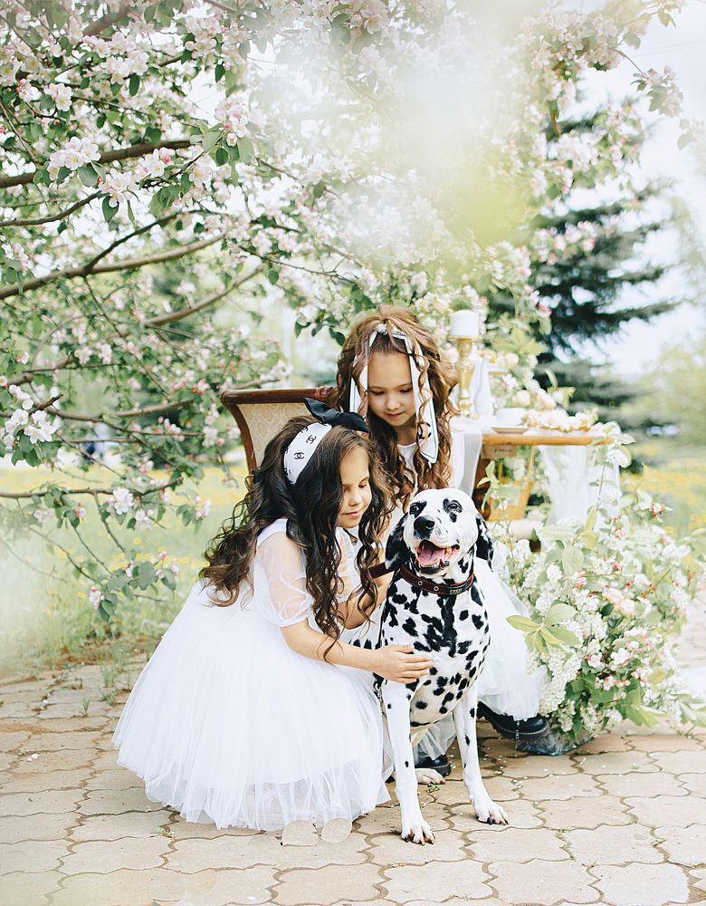 Photograph by Мария Алёшина