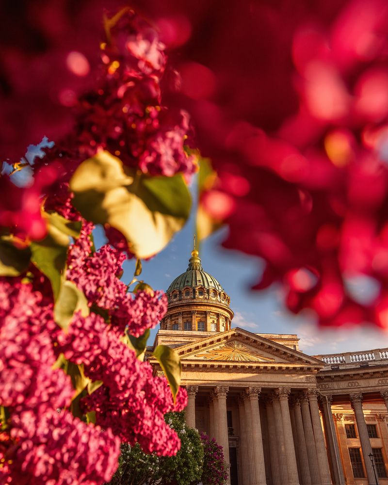 Фотография автора Мазурева Анастасия