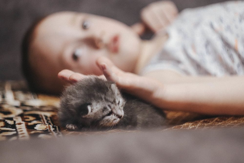 Photograph by Анастасия Чепурнова