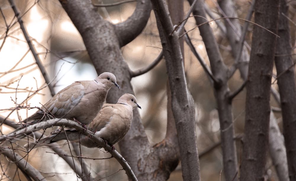 Photograph by Mahmut YILMAZ